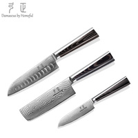 Couteau Santoku Japonais de 4,5 Pouces, Épaisseur 2,5 MM, Noyau VG-10, 67 Couches de Damas, Finition Miroir G10, OEM/ODM Luxe