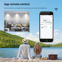 Interrupteur intelligent sans fil à succès, module d'interrupteur WiFi intelligent 1 canal Tuya, sans neutre requis