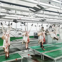 Maisheng musulmán oveja cabra Cordero equipo de matanza proyecto llave en mano máquina de matanza de cabra completa línea de matanza de ovejas