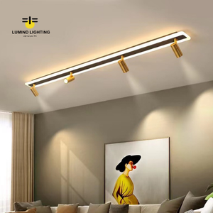 Lumind Led <span class=keywords><strong>Techo</strong></span> Downlight Superficie brillante Instalada Pista dorada Tira <span class=keywords><strong>de</strong></span> LED <span class=keywords><strong>Focos</strong></span> pequeños Iluminación interior Luces <span class=keywords><strong>de</strong></span> riel - Product Image 1