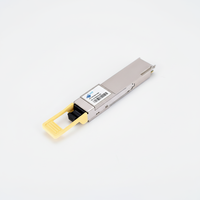 YYGL 400G QSFP112 SR4 OM4 Multimode MPO-12/APC 850nm 100m PAM4 VCSEL/PIN Modul Optik Garansi 2 Tahun Interkoneksi Pusat Data