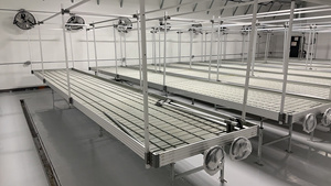 Bandeja <span class=keywords><strong>de</strong></span> Cultivo Hidropónico con Ruedas para Microgreens, 3x6, 3*3, 4x8, con Orificios - Product Image 3