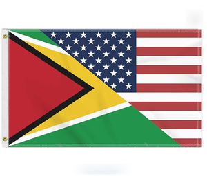 Bandera Dominicana Personalizada al por Mayor, Impresión a una Cara, Resistente a la Decoloración, con 2 Ojales en la Manga Izquierda - Product Image 4