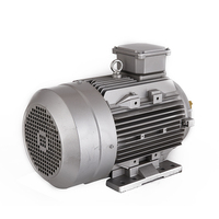 Moteur électrique asynchrone en fonte haute puissance YE2-100L1-4 3HP 4 pôles 380V Triphasé 50Hz TEFC 2890RPM Moteurs AC