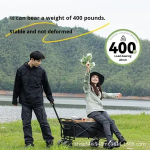 Manufacturer Customized Enclosed Steel ABS Four-Wheel Camping Outdoor Camp Picnic Strong Loading Bearing Black Hand <b>Pull</b> Cart - Product Image 3