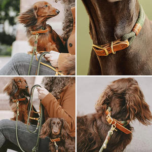 Tali kulit nilon Breakaway polos, Set kerah dan tali anjing kulit rantai p kustom hijau zaitun untuk anjing - Product Image 5