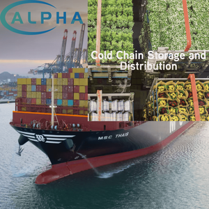 Pengiriman Laut <span class=keywords><strong>China</strong></span> ke Polandia FCL LCL Door to Door EXW FOB DDP Bea Cukai - Product Image 3