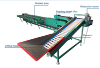 Fabrieksleverancier Automatische Fruit Sorteermachine Avocado Sinaasappel Weegsorteermachine Tomatensorteermachine
