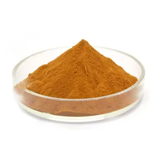 Acido ellagico di elevata purezza 98 puro acido ellagico estratto di erbe in polvere prezzo