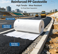 Géotextile PP renforcé haute résistance à la traction et à l'usure pour la séparation des couches de base routières