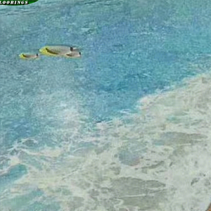 Venta caliente Pisos Singapur Gimnasio Hebei Diseño Plástico Resistente Suelo de vinilo Pisos modernos de China Impresión 3D Pvc <span class=keywords><strong>INDIOR</strong></span> - Product Image 1