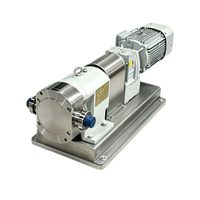 Pompa Molase Terkontrol VFD SS316L Sanitary Rotary Lobe Pump untuk Kontrol Aliran Sirup Gula & Molase dengan Viskositas Tinggi yang Presisi