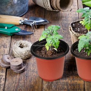 Pot de plantation adapté à la germination des graines, à la culture des <span class=keywords><strong>semis</strong></span>, aux plantes succulentes, <span class=keywords><strong>pots</strong></span> de plantation <span class=keywords><strong>pour</strong></span> <span class=keywords><strong>semis</strong></span> - Product Image 2