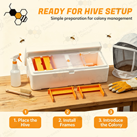 Tragbare EPS-Schaumstoff Königinnen-Zuchtbox Bienenstock mit Doppelkammer für Bienenzucht und Imkerei
