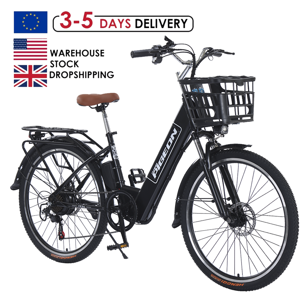 Electric City Bike 48V 20AH 35AH Seater Fun Ride