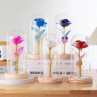 Belle rose arc-en-ciel de la galaxie, lumière LED, conservée dans un dôme en verre borosilicate transparent, base en bois, cadeau pour la fête des mères