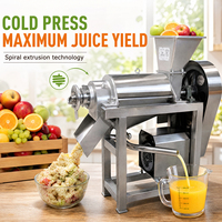 Fabrieks prijs roestvrijstalen slowjuicer continue werking kalebass voor verse sap productie voedselverwerkingsbedrijf