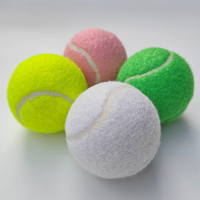 Ballon de sport personnalisé avec logo imprimé, durable, pour l'entraînement, la plage, le lancer, la pratique, en caoutchouc, pour chien