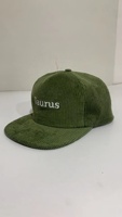 5-delige outdoor sportieve groothandel of op maat gemaakte tropische corduroy 3D geborduurde snapback pet