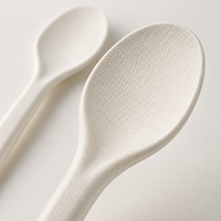 Cuillère jetable en bagasse moulée de 170 mm pour soupes, desserts et kits repas traiteur