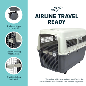 <span class=keywords><strong>Caisse</strong></span> de transport pour animaux de compagnie en PP robuste avec porte métallique, boîte de voyage aérienne pour <span class=keywords><strong>chien</strong></span>, économique et durable - Product Image 5