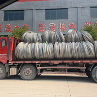 0.06mm 0.25mm 0.5mm 1.6mm 10 165x1400 Mesh ölçer paslanmaz çelik tel