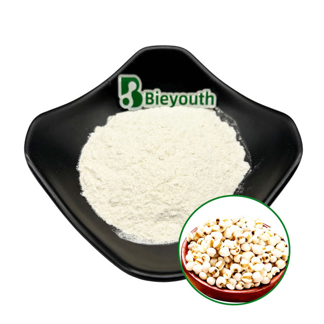 Factory Supply Coix Seed Powder Natural Diuretic & Skin Brightening Food Ingredient for Wellness Formulas