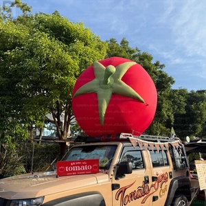 Modelo <span class=keywords><strong>de</strong></span> <span class=keywords><strong>Tomate</strong></span> Inflable Gigante con Iluminación LED, Color <span class=keywords><strong>Rojo</strong></span>, Vegetal Inflable para Decoración/Promoción en Festivales <span class=keywords><strong>de</strong></span> Comida - Product Image 4