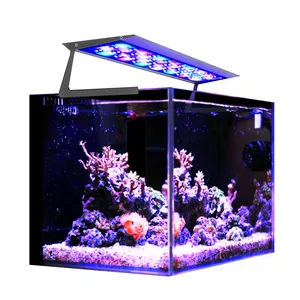 50-160W lampada acquario marino 12000K Wifi staffa regolabile spettro completo Uv per la barriera corallina