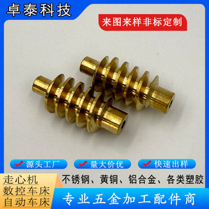 Nonstandard Copper <b>Worm</b> Gears Cnc Lathe Machined Finishing Accuracy For Motor Applications - Product Image 5