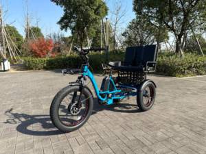Tricycle électrique cargo à double batterie disponible, 48V 25Ah+20Ah, 24 pouces, 3 roues, pneus larges - Product Image 4