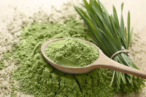 High Quality Food Grade 99% Pure Wheat Grass Powder Manufacturer Supply Fine Green Powder for Food Beverage Use <b>Smoothie</b> <b>Bottle</b> - Product Image 6
