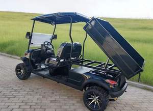 Carro de carga para golf, carro de carga tipo pickup, buggy eléctrico, carro de transporte eléctrico, mini camión eléctrico, utilitario de transporte para caminos no públicos - Product Image 4