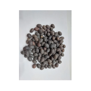 เมล็ดบัวมาลาอินเดียเมล็ดบัวธรรมชาติ - Product Image 4