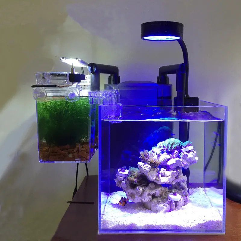 110v 220v Amostra Grátis de Água Doce Plantada 3W 5W 7W Fish Tank LED Aquarium LED Light
