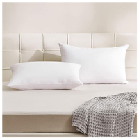 Yatone 100% Lyocell Silk Alternative Hotel Oreiller 700g 850g 1000g pour les dormeurs de santé avec soutien du cou confortable