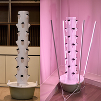 Tour de culture hydroponique et aquaponique pour la culture verticale de fraises