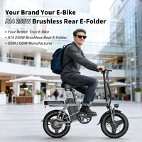 Vélo électrique pliable 14 pouces 250W 48V Capacité de charge 120 kg Porte-bagages arrière Monovitesse pour patrouilles de sécurité et travaux utilitaires