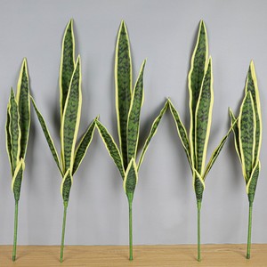 Linternas rtificales, ansevieria - Product Image 6