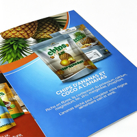 Impression de Flyers, Dépliants, Brochures Tri-pliées, Manuels d'Instructions, Menus, Catalogues, Magazines, Service d'Impression Personnalisé avec Conception Gratuite