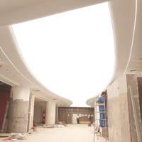 Film souple lumineux LED pour plafond en tissu tendu PVC ignifuge, très demandé