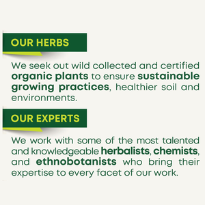 Tè alle Erbe Rilassante alla Valeriana OEM/ODM Integratore Alimentare per un Sonno Tranquillo per Adulti - Product Image 2