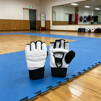 Gants d'entraînement professionnels en PU demi-doigts pour hommes, pour la boxe et le taekwondo (vente en gros)