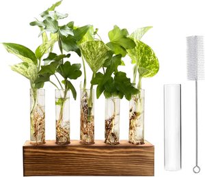 Station de propagation pour plantes, support en bois avec 5 tubes en verre, terrarium de bureau pour la décoration de la maison, du bureau et du jardin - Product Image 1