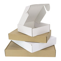 Caja de Cartón Corrugado con Logo Personalizado para Compras y Envíos Exprés, Empaque Tipo Avión