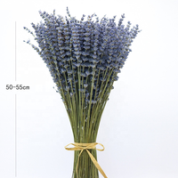 Tanaman Alami Kering Asli Reed Bunga Kering Provence Lavender Tandan untuk Pengaturan