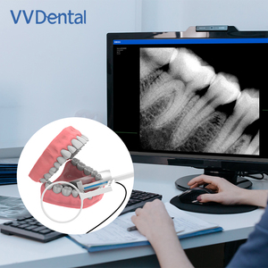 Sensor Digital de Alta Definición para Radiografía Intraoral, RVG, para Clínicas Dentales o Veterinarias - Product Image 4