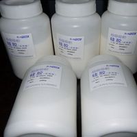 SANPONT Silice RP18 Phase liée pour chromatographie HPLC, Gel de silice SiO2 pureté 99,9%, Couleur blanche, Poudre