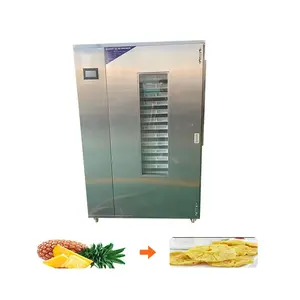 All-In- One Pineapple Drying Machine From Factory