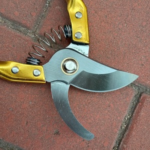 Tijeras de <span class=keywords><strong>podar</strong></span> profesionales, herramientas de jardín con mango de Metal, tijeras <span class=keywords><strong>para</strong></span> <span class=keywords><strong>podar</strong></span> flores, <span class=keywords><strong>árboles</strong></span> frutales, <span class=keywords><strong>árboles</strong></span> de arce - Product Image 3